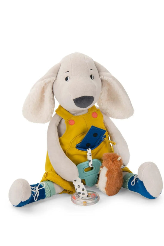 Puce & Pilou large activity dog