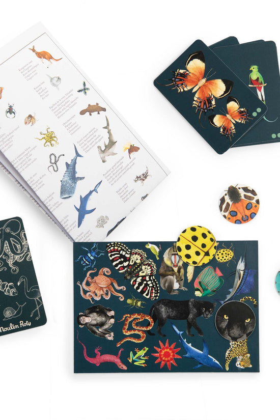 Autour de Monde Seek and Find Card Game