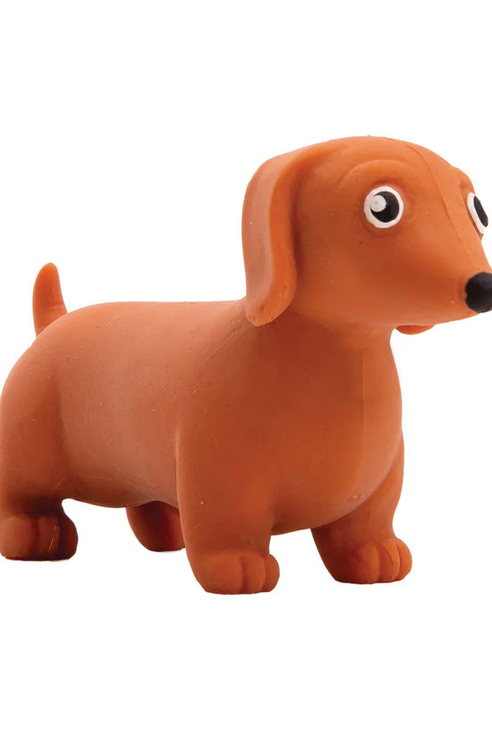 Stretchy Sausage Dog